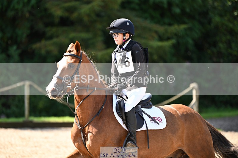 240824X-112641-25237 - 70cm Round 2 10.30 to 12.10