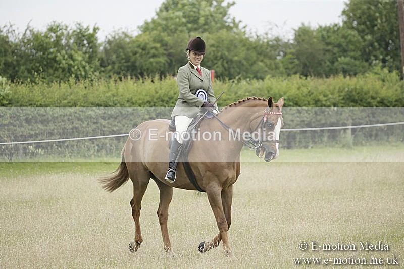 B230619-0970 - Bourne Valley Riding Club Summer Show 23/06/19