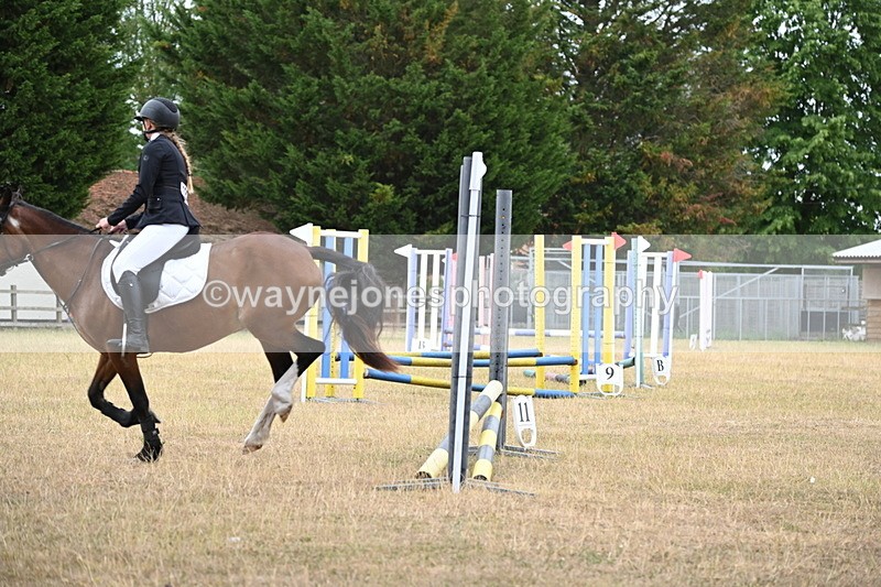 WJ6_0243 - Class 13 Novice Jumping 60cm