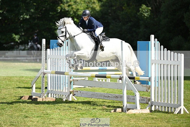 250704A-104001-07027 - Cls 25 Snr British Novice and 90cm