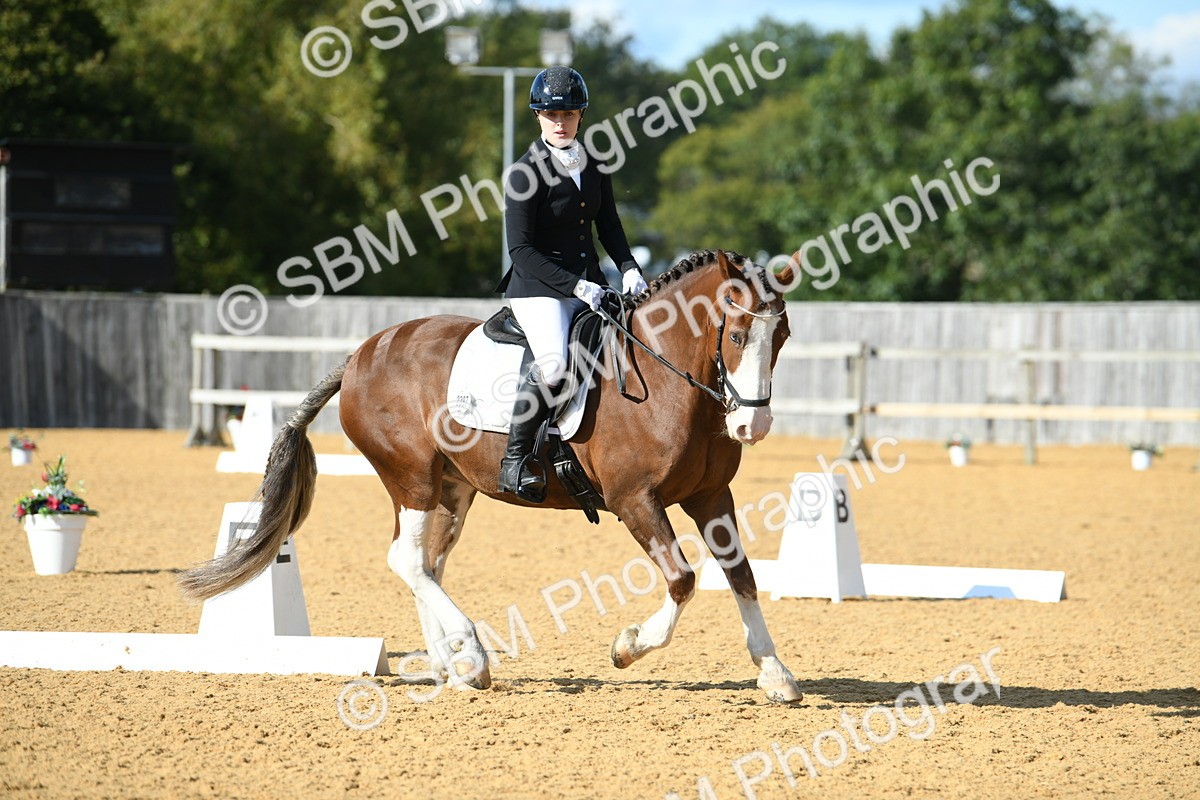 SBM_27096 - D16 - Small Tour Championship - Novice 28