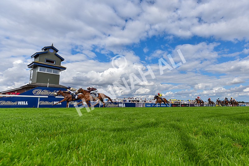 300826-Race 3-Pivotal Voyage-6605 - Race 3 2.50pm Churchill Tyres EBF Restricted Maiden Fillies' Stakes