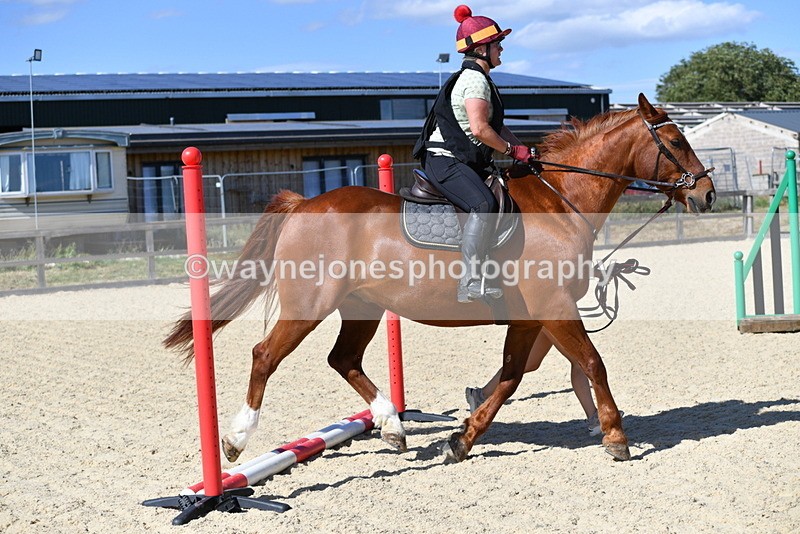 WJ5_5330 - Poles on the Floor