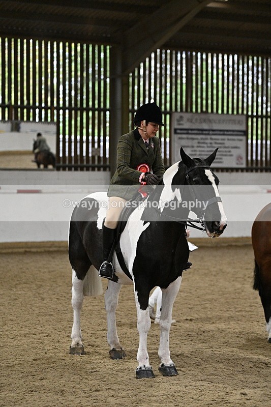 WJ7_4343 - Class 17 Ridden Cob