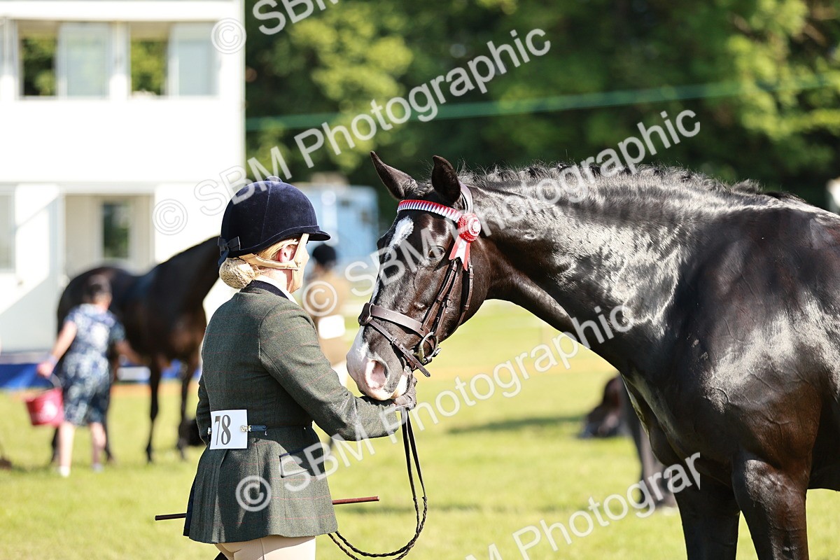 SBM_19269 - Class 115-116 - LIHS BSHA Rising Star Working Hunter & Show Horse