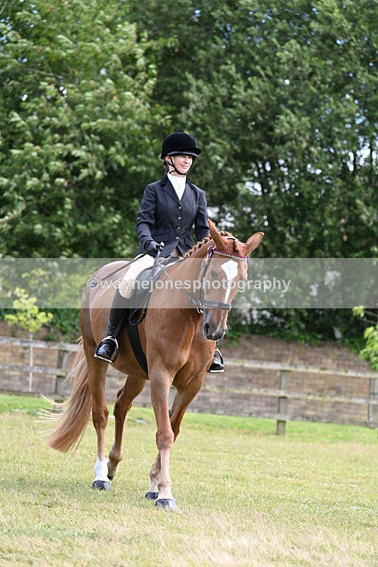 WJ7_8347 - Class 7  Riding Club Show Horse