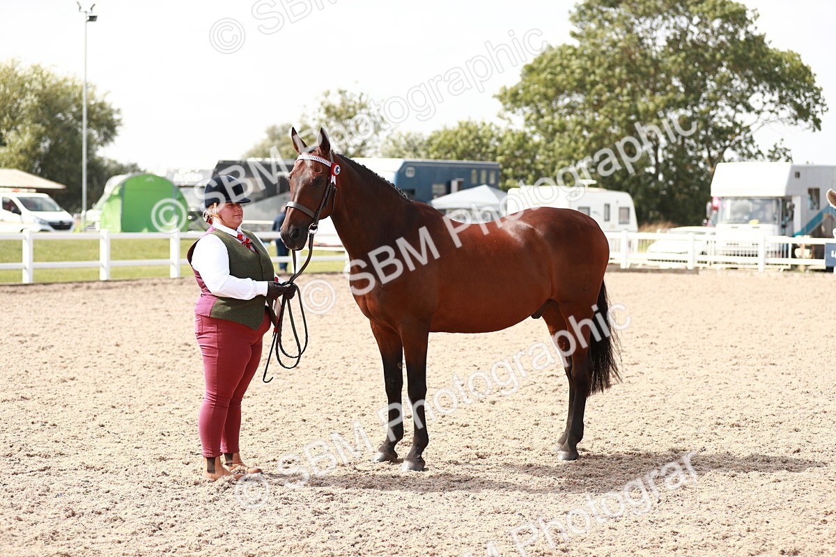 SBM_13301 - Class 208 IH Veteran Horse