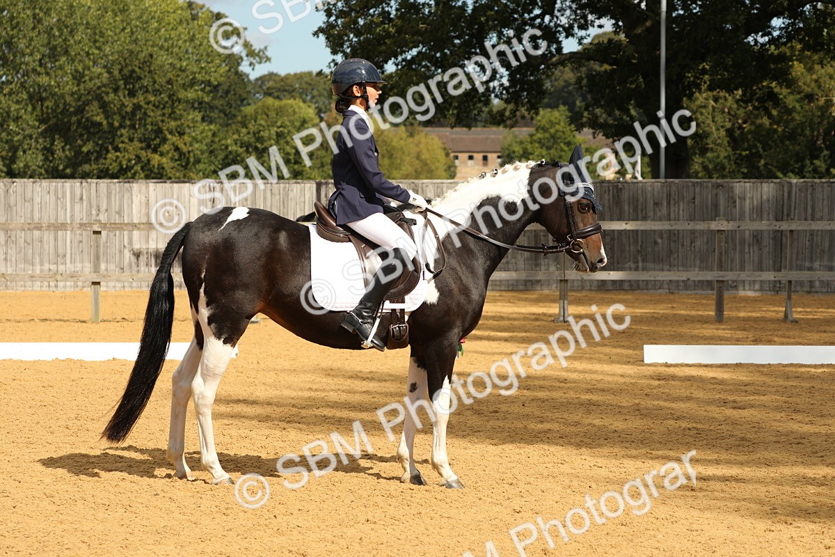 SBM_41733 - D21 - Junior Championship - Intro A