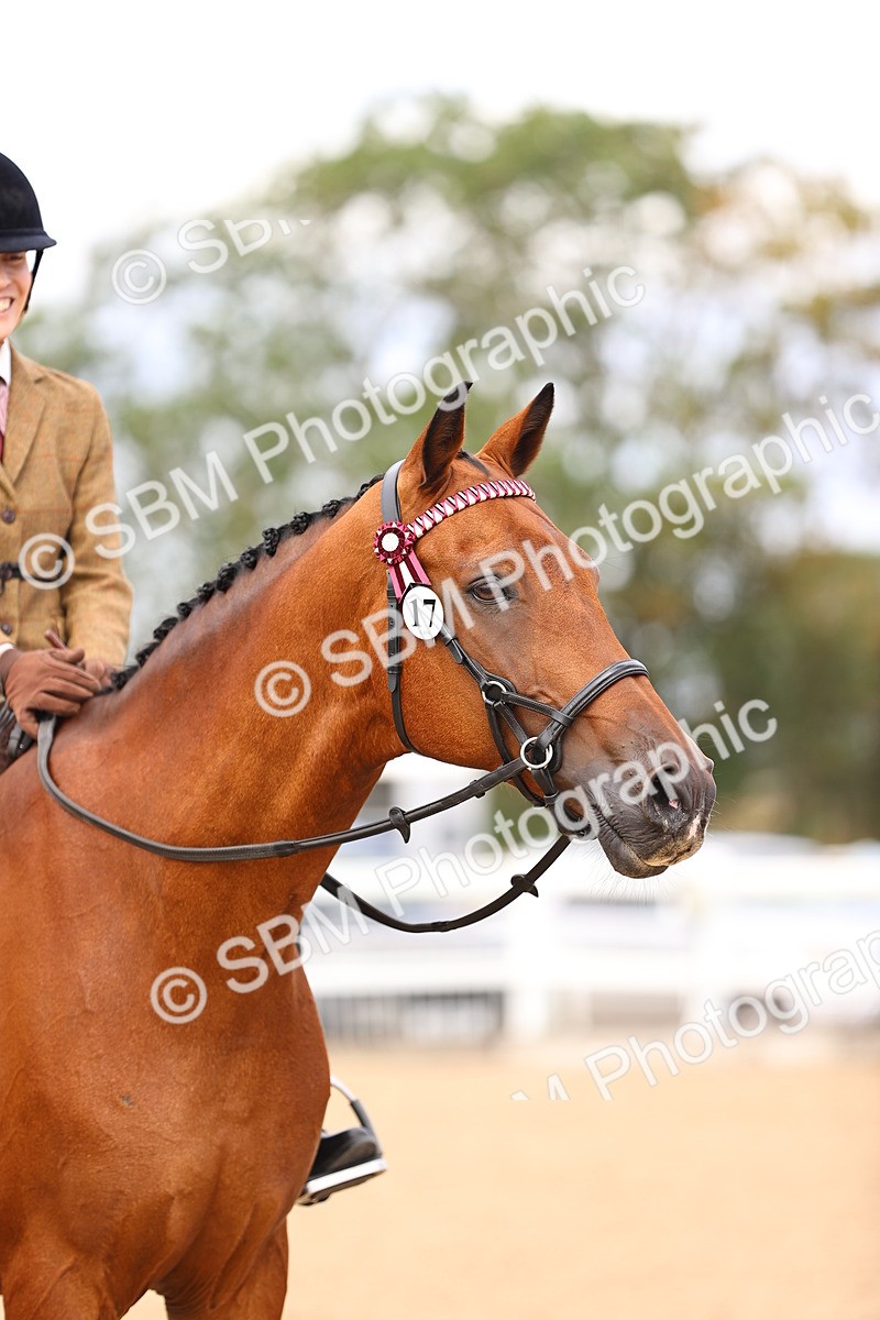 SBM_12948 - Class 410 - Grassroots Ridden - Horse