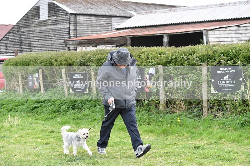 WJ5_0031 - Class 5 Best Veteran / 7 years & over