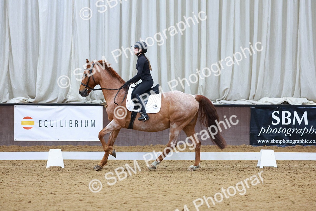 1I0A0950 - Class 3-6 - Prelim 1-Novice 2