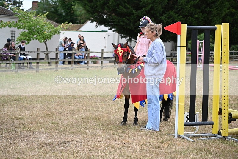 WJ6_9135 - Class 11 Fancy Dress