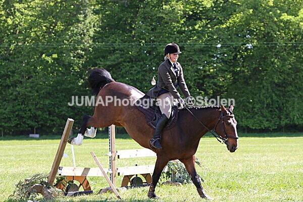 IMG_4483 - Working Hunter