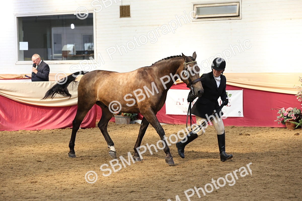SBM_24148 - Class 905 - Supreme Final - Ridden Veteran