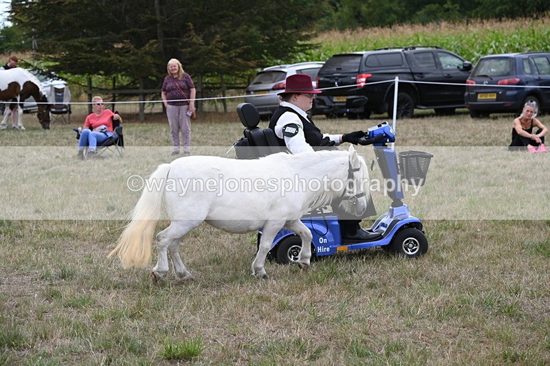 WJ6_6029 - Class 19 In-hand Veterans (Uploaded correct folder)