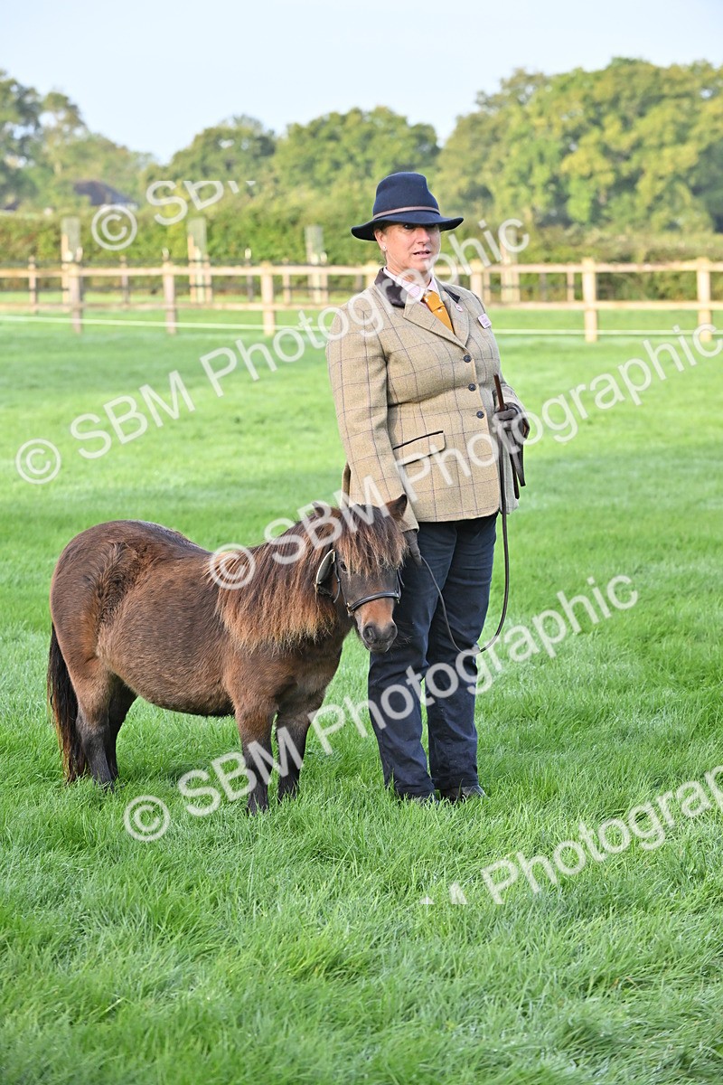 SBM_54620 - S44 - Youngstock In Hand