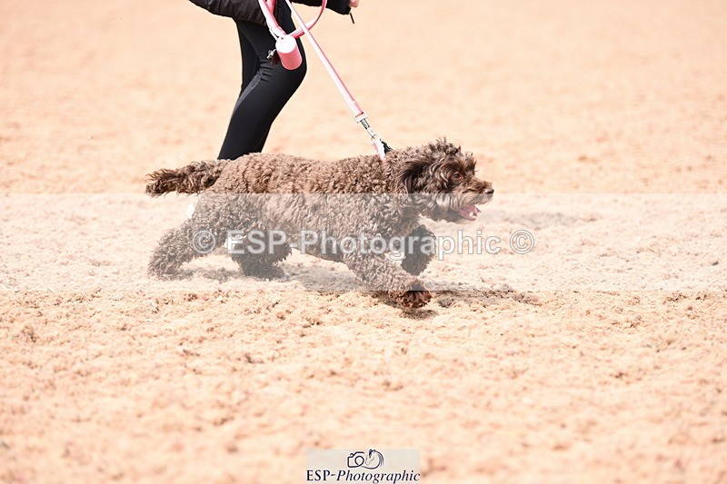 240518A-114822-00831 - Cls 2 Prettist Bitch