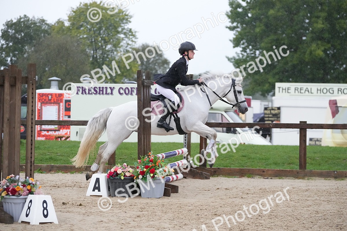 SBM_33565 - J5 - Junior Pony 50cm Championship