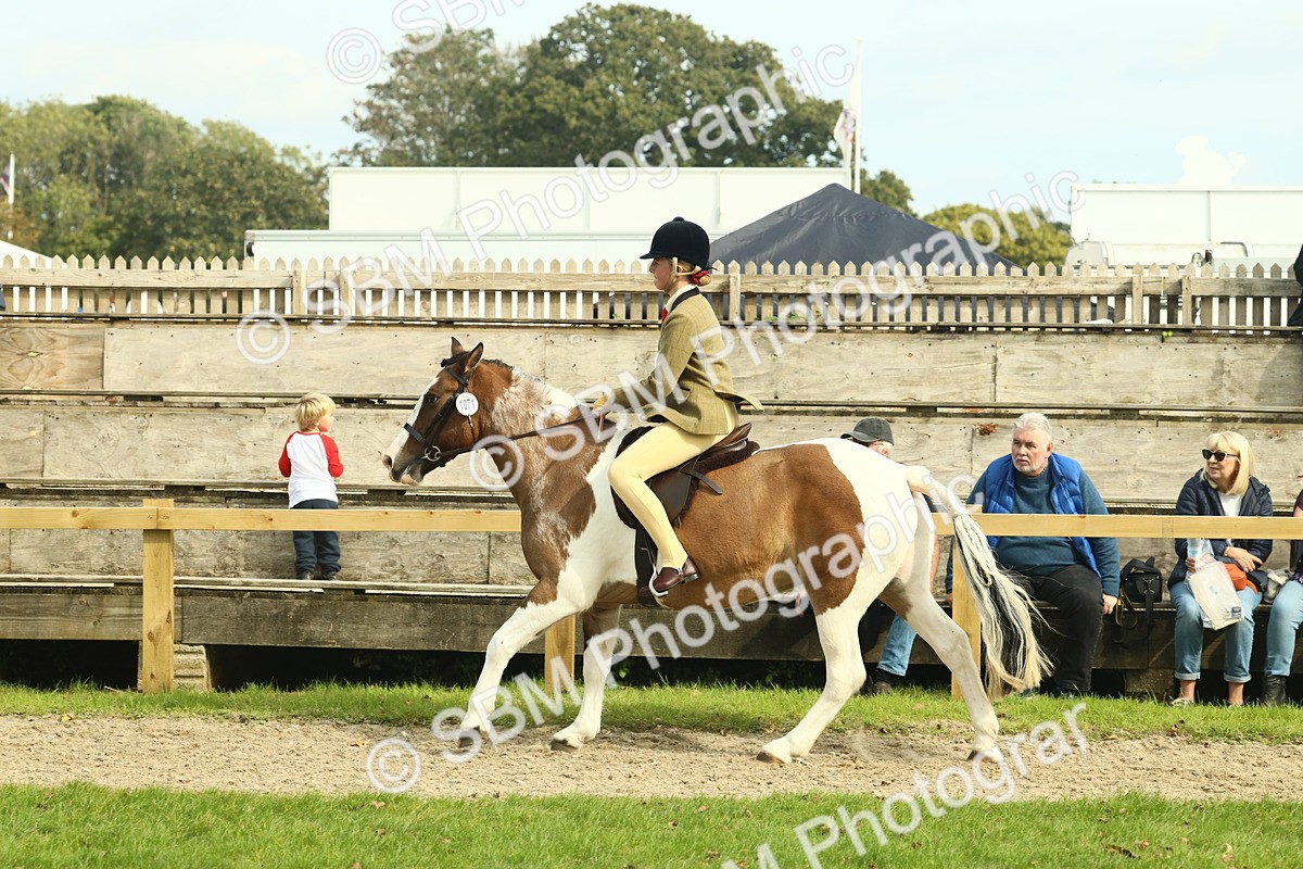 SBM_68116 - S57 - Part Bred Pony Ridden