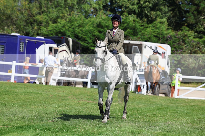 3E7A8563 - Class 5: Working Show Horse