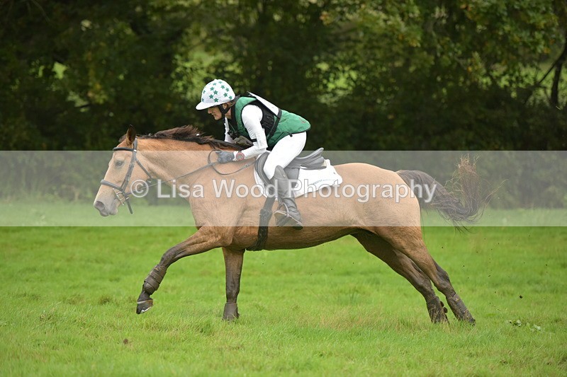 RAY_0566 - Class 5: 90cm Double of Brushes