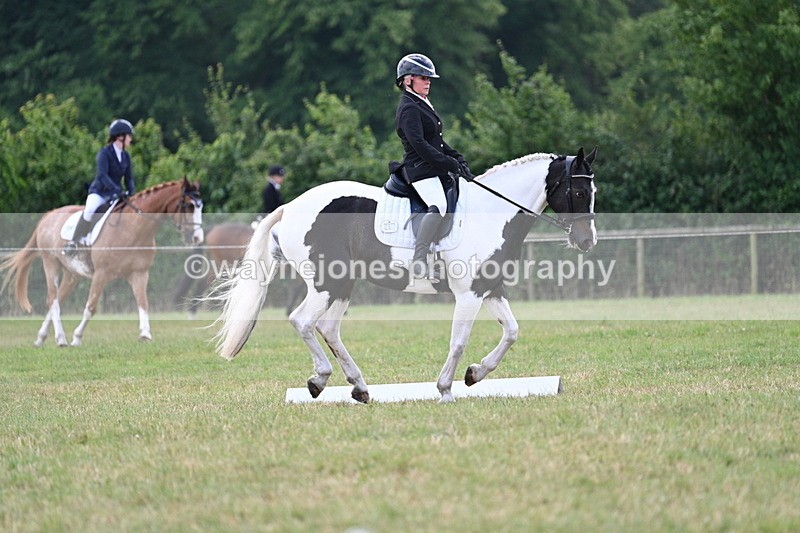 WJ7_5273 - Time 11:22 to 11:51