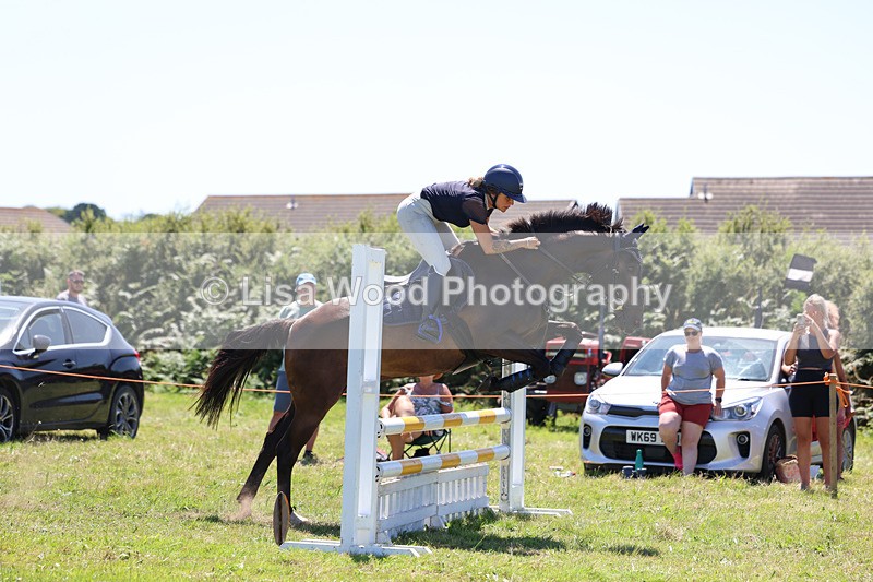 3E7A5671 - Class 9: Senior British Novice/90cm open