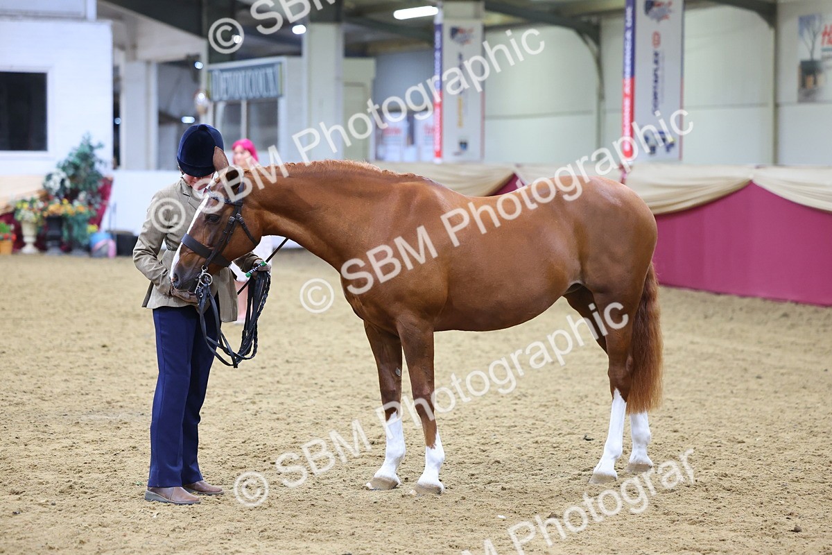 SBM_19452 - Class 901 - Supreme Final - IH Diamond