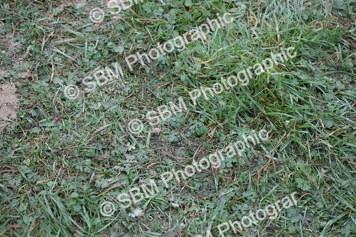 SBM_002747 - Senior Finals A B C