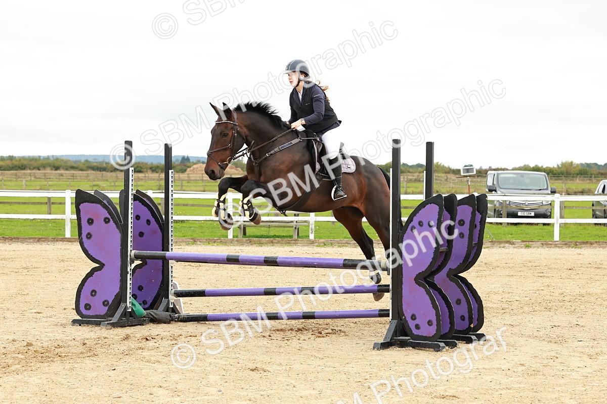 1I0A6993 - Class 2 - Senior British Novice