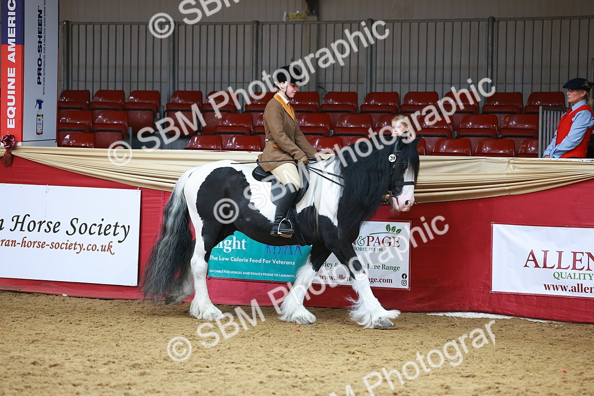 SBM_09566 - Class 102 - HOYS Veteran Qualifier - Ridden Veteran