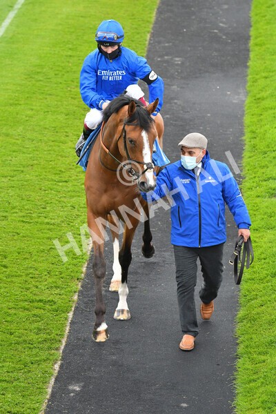 yr22052021r3-13 - Race 3 3.15pm William Hill Extra Place Races Stakes