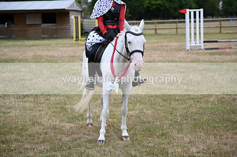 WJ6_4960 - Class 11 Fancy Dress