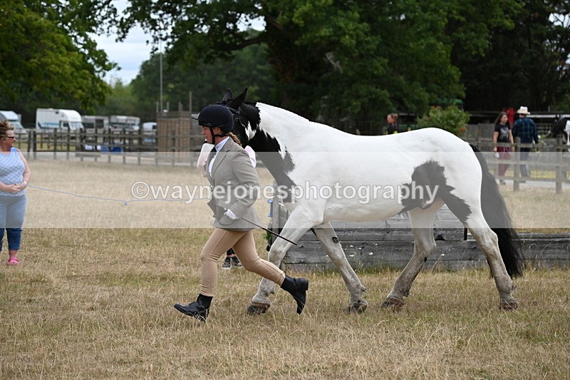 WJ6_8378 - Class 10 Coloured in Hand
