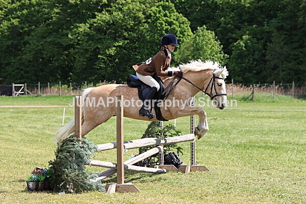 IMG_4238 - Working Hunter