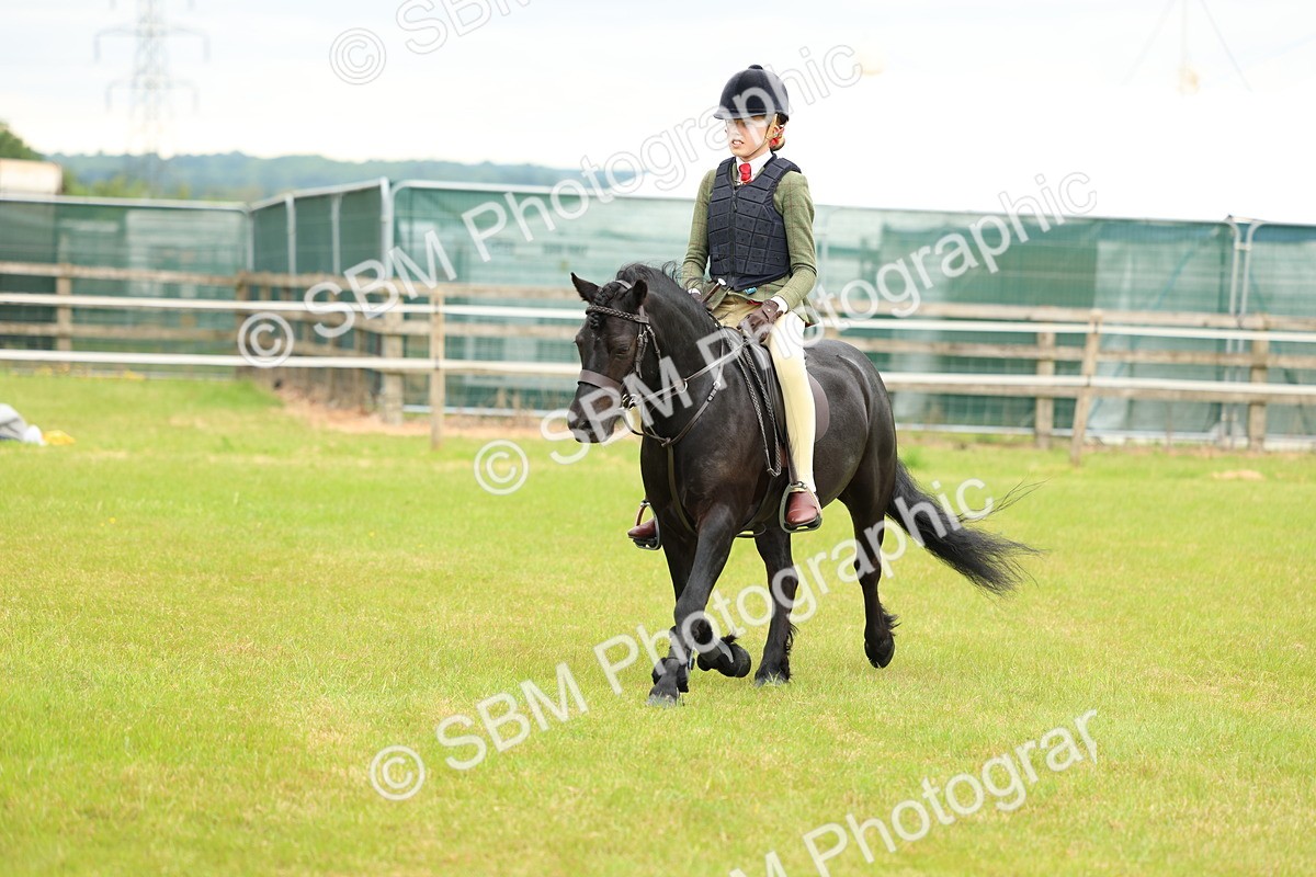 SBM_10325 - Class 44-45 - LIHS BSPS Open Nursery and Cradle Stakes
