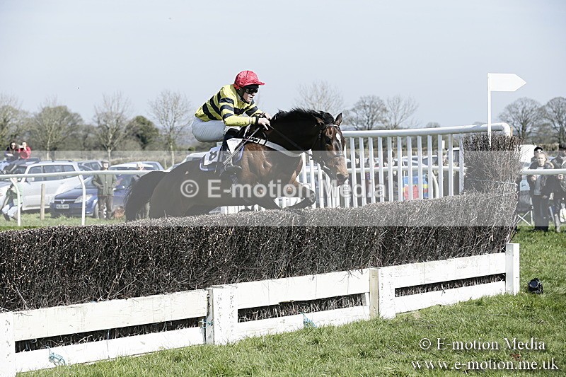 PtP 260317 60 - Mendip Farmers Point-to-Point Ston Easton 26/03/17