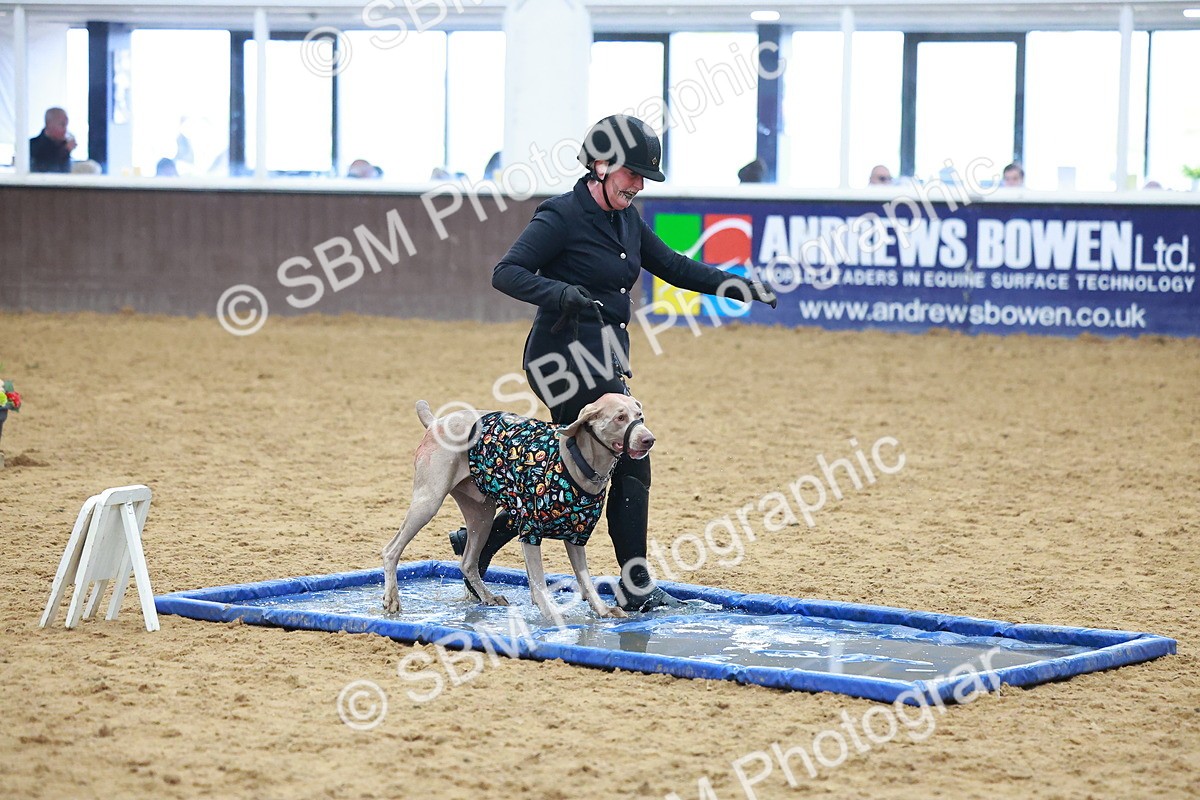 SBM_001757 - Class 3 - Horse & Hound (60cm)