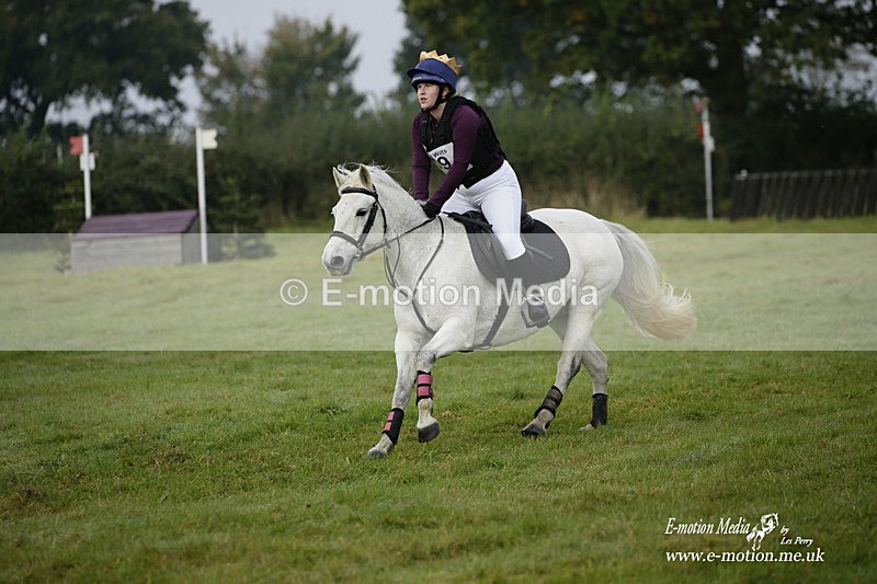  WWHT 171021 0830 - Open Novice (0.80m)  17/10/21