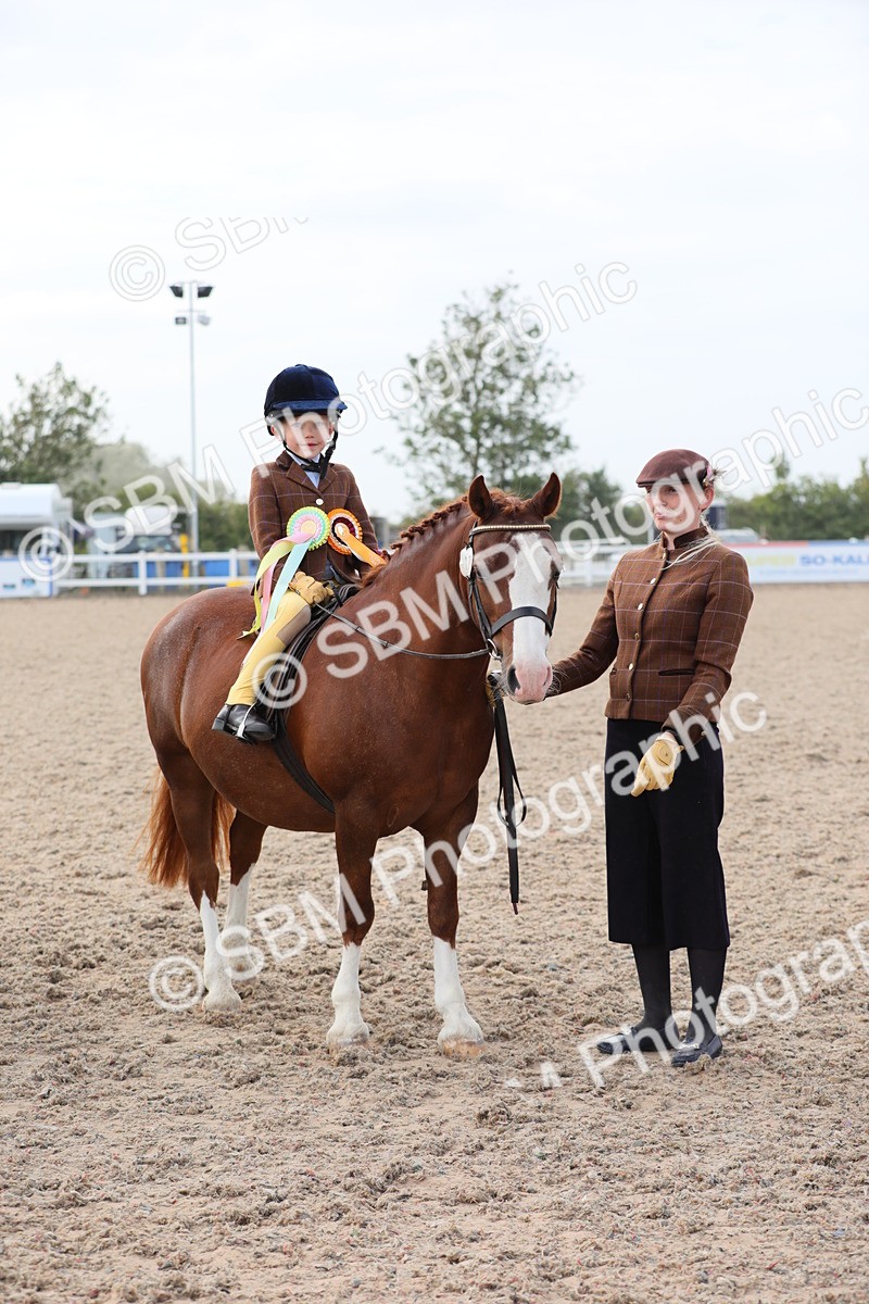 SBM_17046 - Class 314 Family Horse/Pony