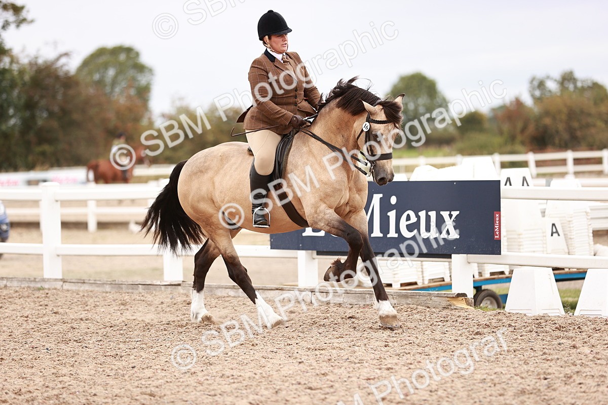 SBM_18969 - Class 422 - Ridden M&M