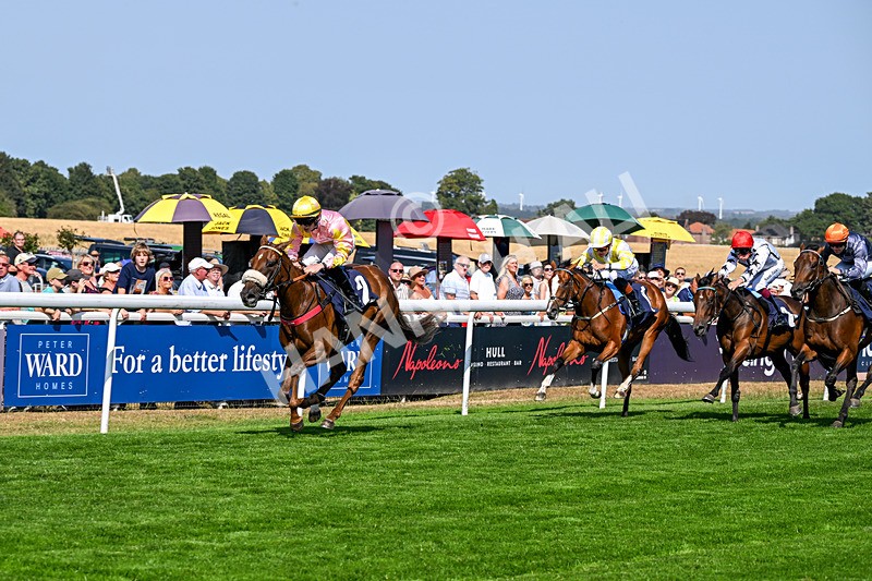 130826-Race 3-State Of Gold-8772 - Race 3 15.15pm Hornsea Ladies At The Races Nursery Handicap
