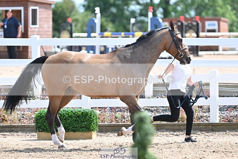 240717A-150439-02515 - Trot Up 3pm to 4pm