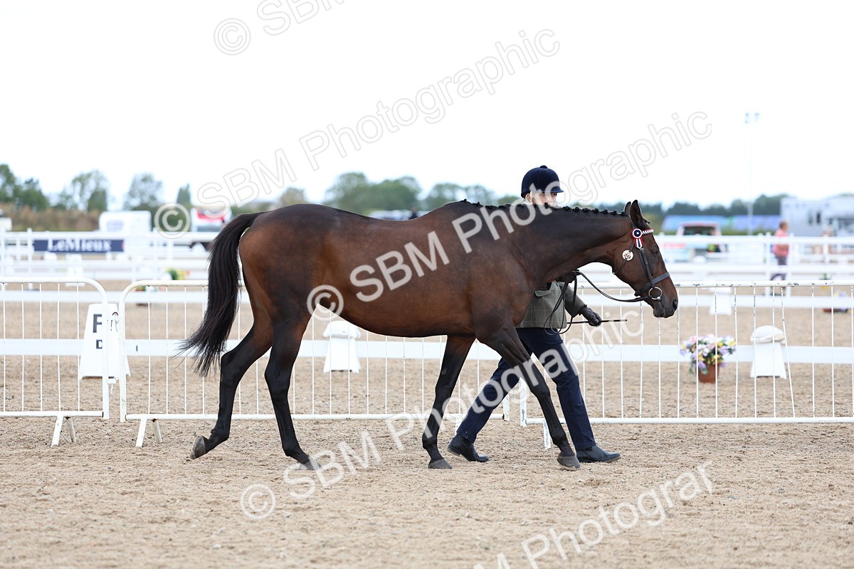 SBM_04993 - Class 27 - IH Competition Horse or Pony