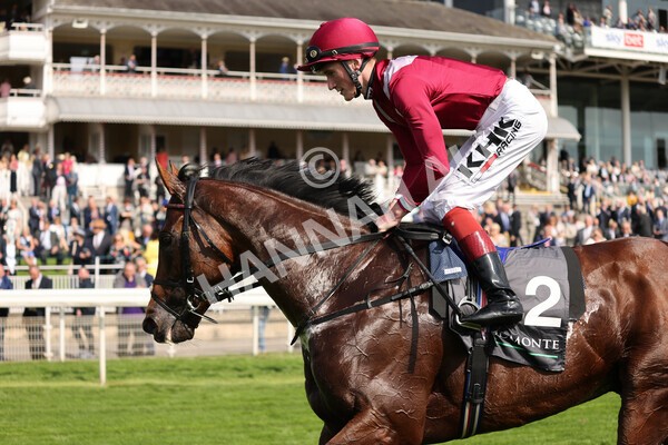 yr18082021r4-119 - Race 4 3.35pm Juddmonte International Stakes (British Champion Series race)