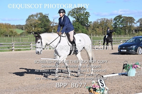 BPP_8677 - SHORT ARENA INTRO 3