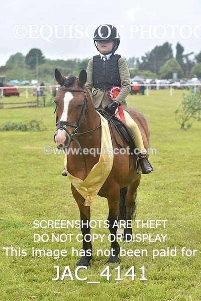 JAC_4141 - 40CM WORKING HUNTER