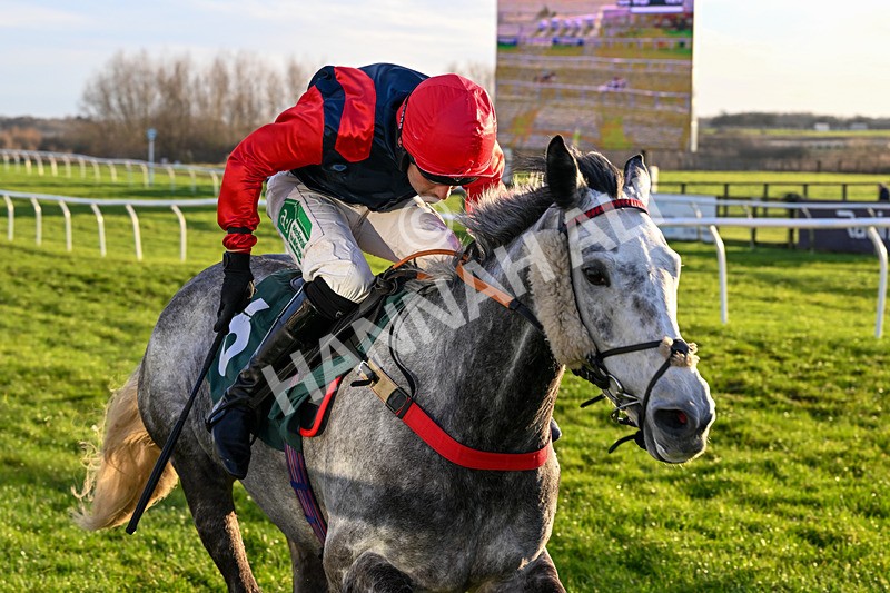 161225-Race 5-Somebodycomegether-8894 - Race 5