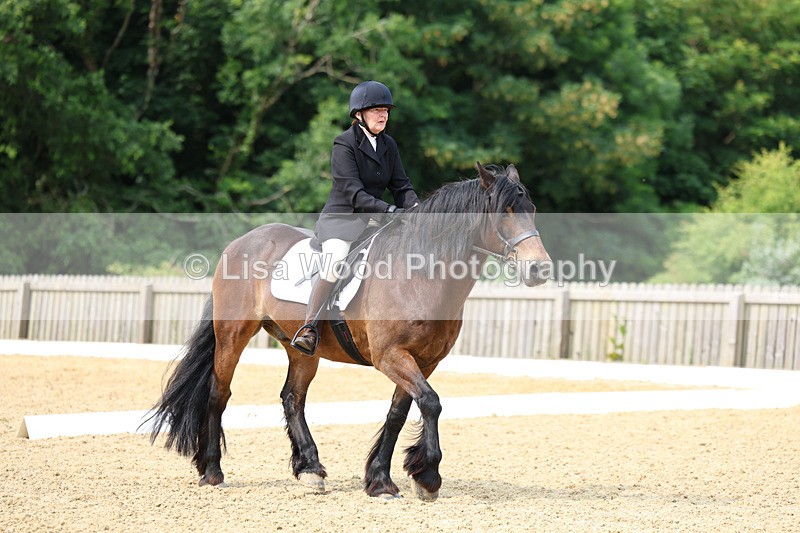 3E7A9059 - Class 2: Intro 1 2024 Section B