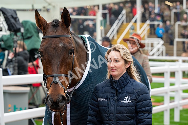151125-Race 3-Breaking Cover-0842 - Race 3
